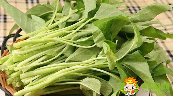 空心菜怎么剝好看又好吃，空心菜怎么煮才能去掉草酸
