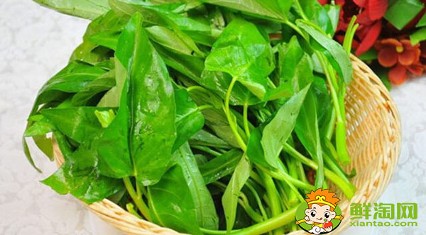 空心菜怎么剝好看又好吃，空心菜怎么煮才能去掉草酸