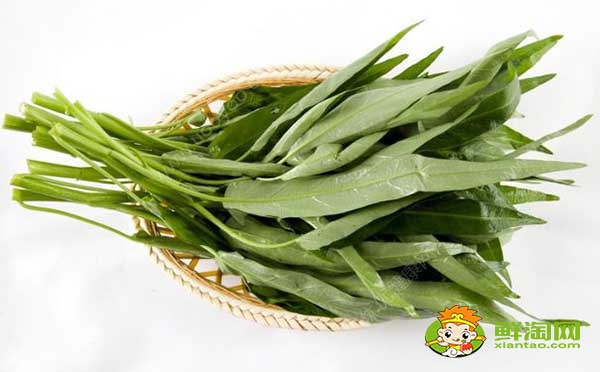 空心菜嫩的怎么挑，泰國竹葉空心菜特點