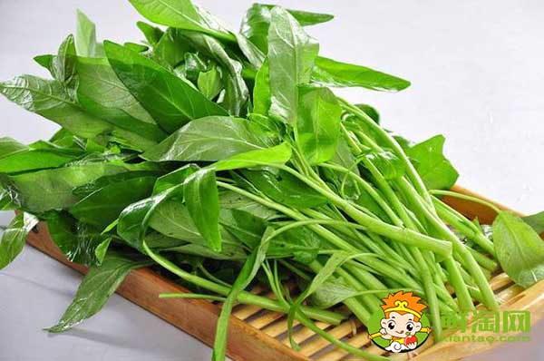 竹葉和柳葉空心菜哪個產量高,小柳葉空心菜是不是青梗的