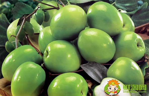 青棗適合什么地方種植,青棗產(chǎn)地主要在哪個(gè)省