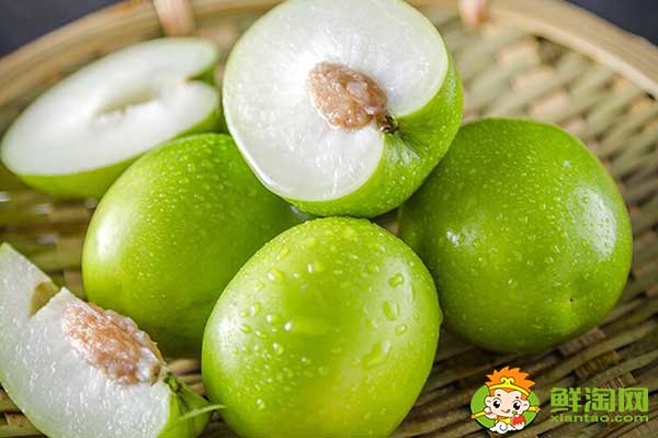 青棗適合什么地方種植,青棗產(chǎn)地主要在哪個(gè)省