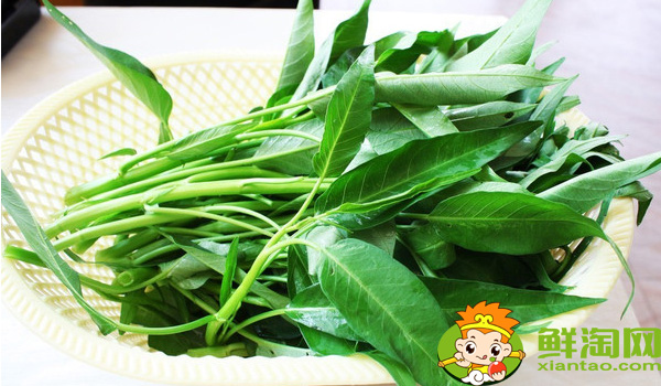 江西大葉空心菜哪里產(chǎn)的，江西空心菜的圖片大全