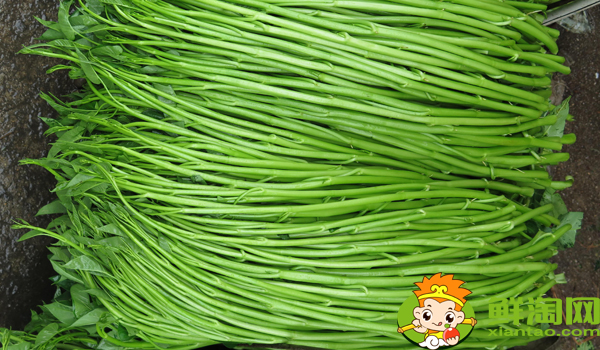 江西大葉空心菜哪里產(chǎn)的，江西空心菜的圖片大全