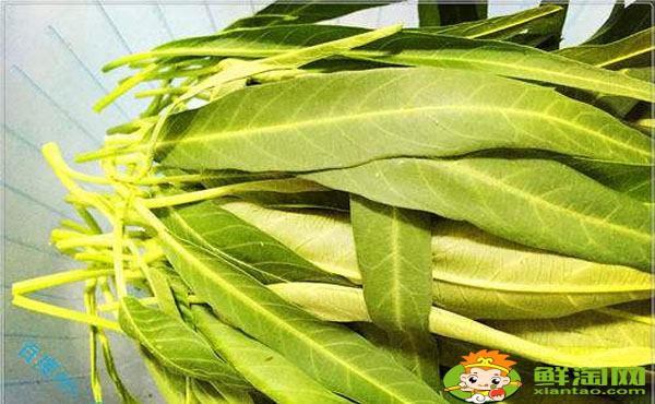 空心菜葉子要不要去掉，空心菜葉子發(fā)黃能吃嗎