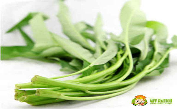 空心菜葉子要不要去掉，空心菜葉子發(fā)黃能吃嗎