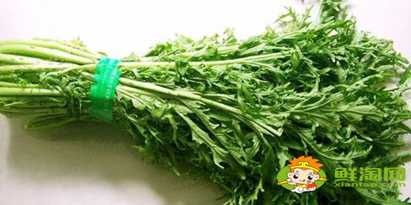 東北雪里紅是什么菜，雪里紅有幾個品種圖解