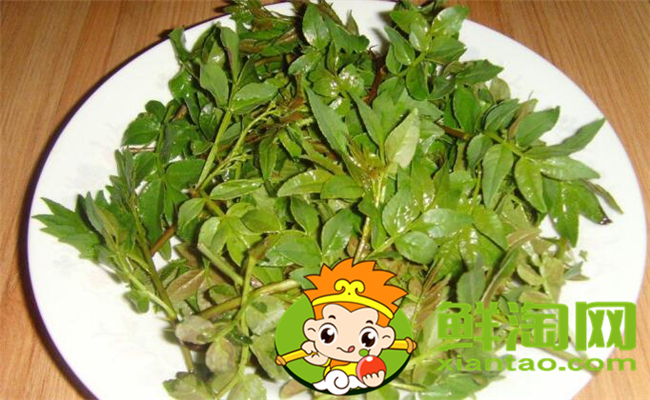 花椒葉什么時候采摘最好，花椒葉怎么存放