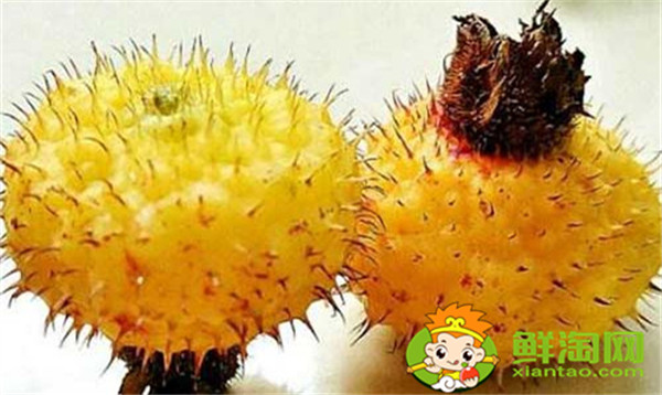 可以用新鮮刺梨泡水喝嗎，刺梨泡水的制作方法