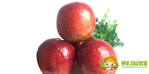 黑布林放幾天會(huì)變甜嗎,紅布林和黑布林哪個(gè)酸