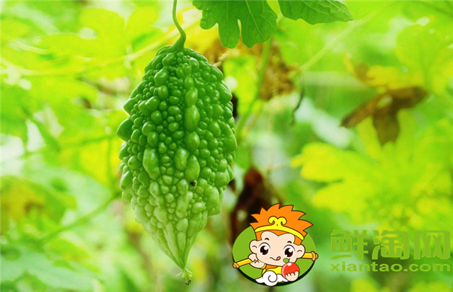 金鈴子黃了皮能吃嗎，金鈴子食用方法