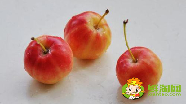 海棠果沒熟青果怎樣吃,沙果哪個地方的好吃