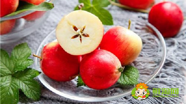 北方的沙果什么時(shí)候成熟，東北的沙果長(zhǎng)什么樣