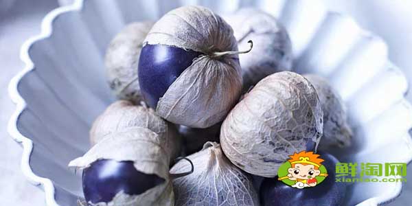 紫色的姑娘果叫什么名字,紫色姑娘果圖片大全