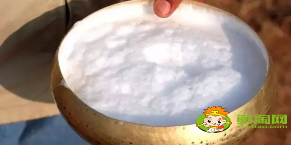 生產駱駝奶的品牌有哪幾個，現市面上駱駝奶各品牌的價格