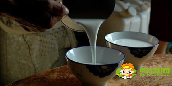 國家品牌駱駝奶哪個最好，國產最好駱駝奶粉品牌