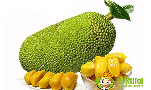 菠蘿蜜怎么保存才不壞，菠蘿蜜肉怎么保存