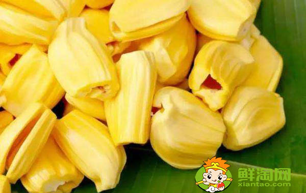 菠蘿蜜怎么保存才不壞，菠蘿蜜肉怎么保存