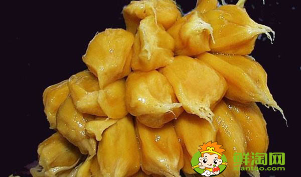 菠蘿蜜怎么保存才不壞，菠蘿蜜肉怎么保存