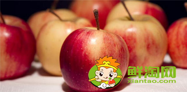 沙果是什么季節(jié)的水果，沙果屬于蘋(píng)果嗎