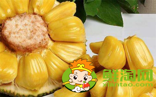菠蘿蜜怎么保存熟的快，剝好的菠蘿蜜怎么保存