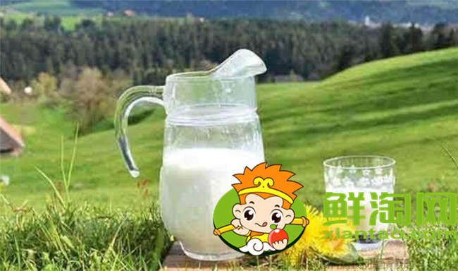 一只駱駝一年能產(chǎn)多少奶，駱駝奶喝一次多少才可以