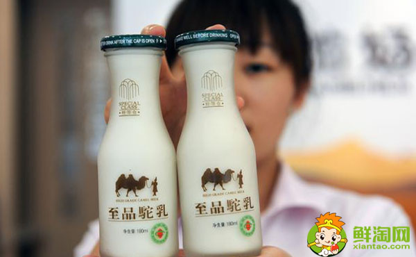 喝駱駝奶有什么好處，喝駱駝奶真的能長壽嗎