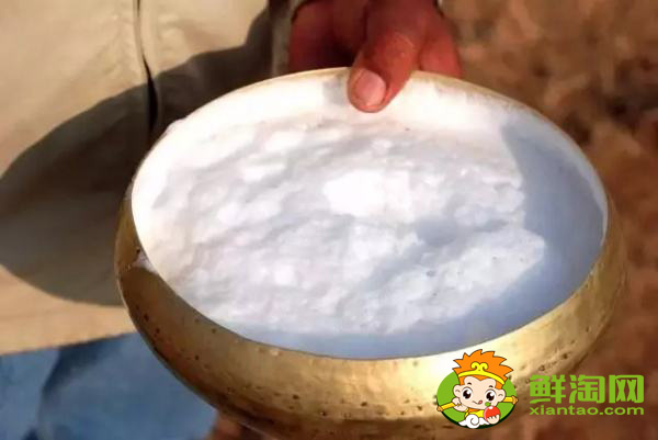 老人喝駱駝奶好嗎，新彊的駝駱奶的質(zhì)量好不好