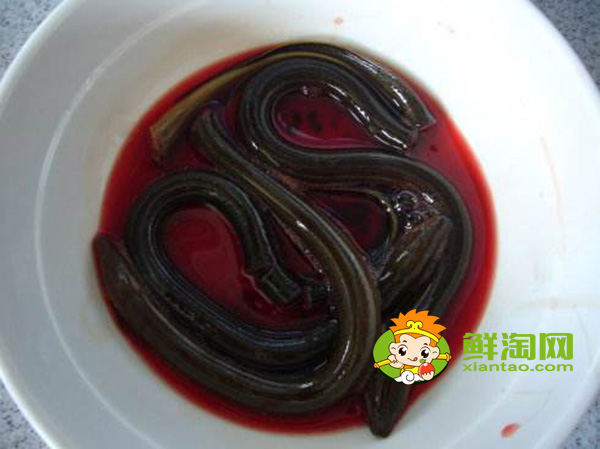 黃鱔血怎么吃最補(bǔ),黃鱔血泡酒有什么功效