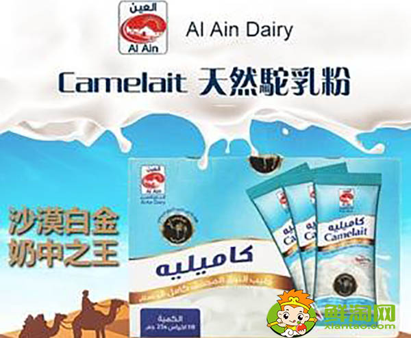 迪拜駱駝奶好喝嗎，哪里能買(mǎi)到好的駱駝奶