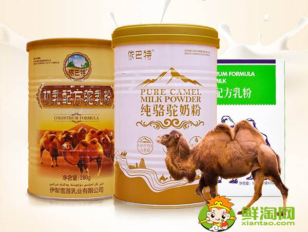 駱駝奶每天喝多少合適，發酵駱駝奶一天喝多少