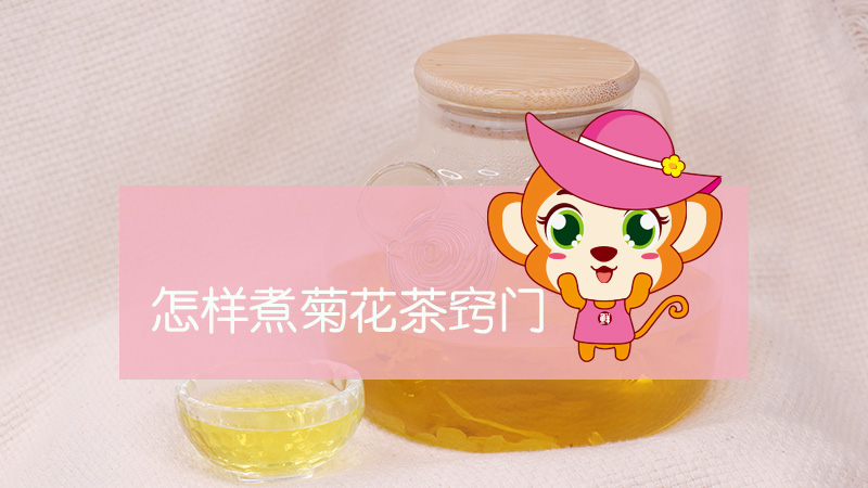 怎樣煮菊花茶竅門