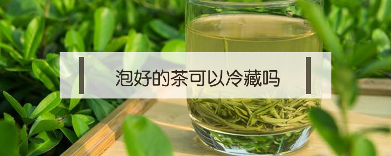 泡好的茶可以冷藏嗎