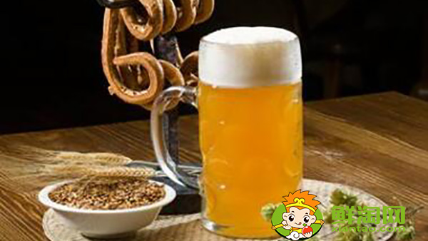 無醇啤酒有哪些牌子，經(jīng)常喝無醇啤酒的危害