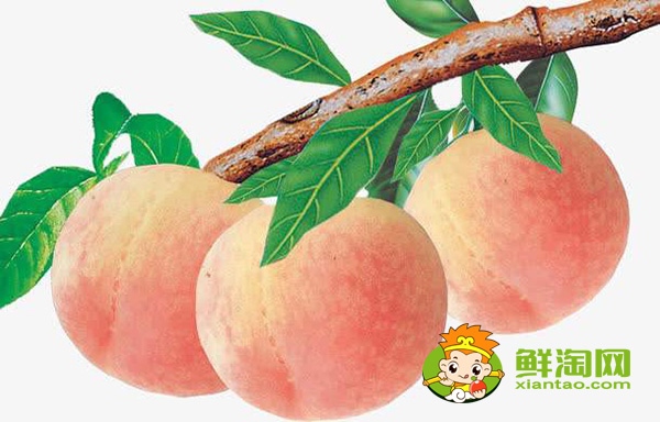 桃子的熱量高嗎，一個桃子的熱量是多少大卡