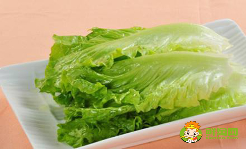生菜的樣子，結球生菜和生菜的區別