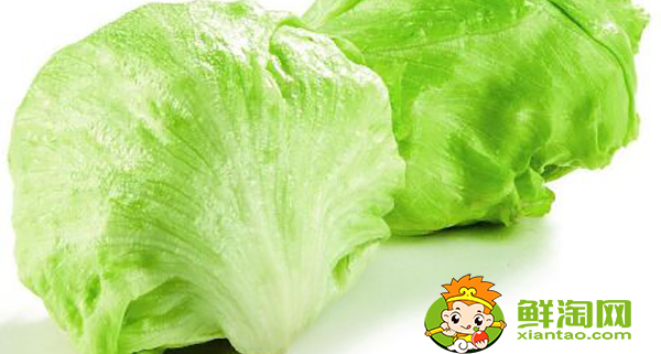圓生菜可以生吃嗎,圓生菜和生菜區別