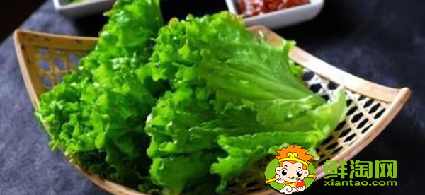 生菜可以烤嗎,團生菜的功效與作用