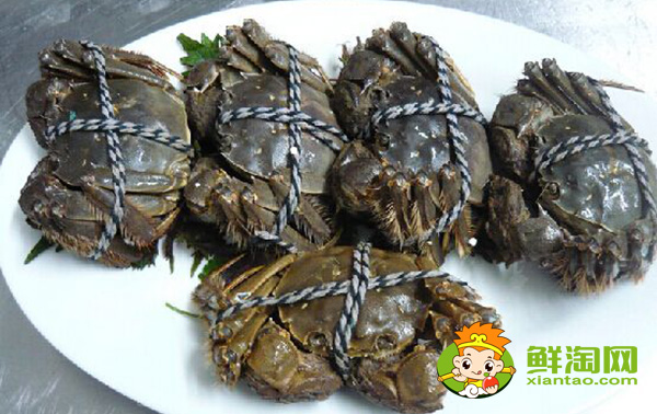 大閘蟹幾月份最好吃,大閘蟹蒸多久最佳時(shí)間