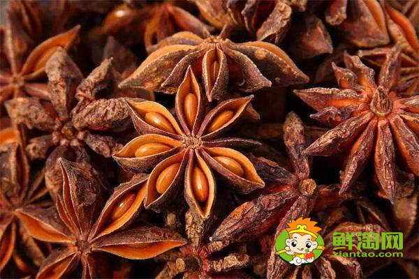 八角種植適應(yīng)什么地區(qū),八角什么時(shí)候施肥最好