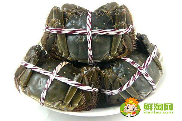 大閘蟹為什么叫大閘蟹，陽澄湖大閘蟹和洪澤湖大閘蟹的區別