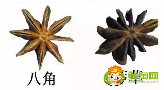 大料的真假如何區分，大料的價格與等級區分