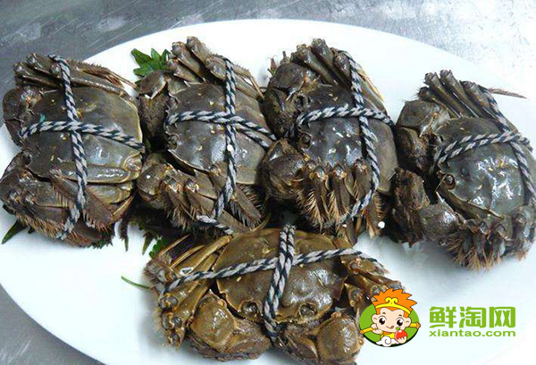 武漢梁子湖大閘蟹什么時候上市,陽澄湖大閘蟹和梁子湖大閘蟹有什么區別
