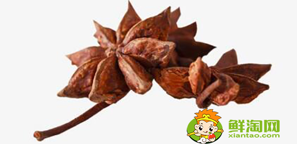 大料和八角是一個東西嗎,大料和八角的區別圖片