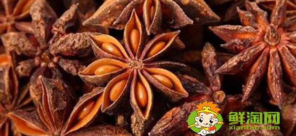 八角哪里產(chǎn)的味道好,廣西哪里產(chǎn)的八角最好