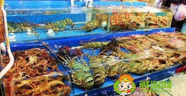 陽澄湖大閘蟹批發市場地址,陽澄湖大閘蟹批發哪個市場便宜