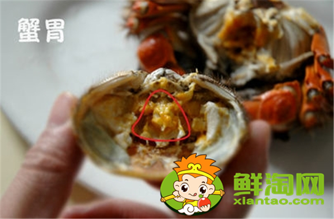 大閘蟹怎么吃新手，大閘蟹不能吃的部位圖