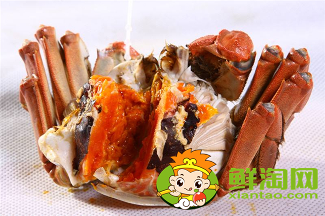 黃河口大閘蟹最佳季節,黃河口大閘蟹和陽澄湖大閘蟹的區別