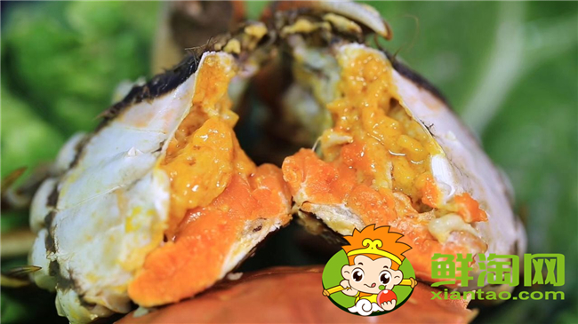 黃河口大閘蟹蒸多久,黃河口大閘蟹怎么存放
