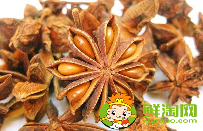 大料怎么區分好不好,大料的質量怎么區分